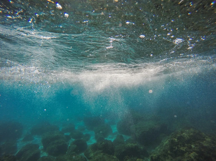 the water of a sea with a bunch of fish