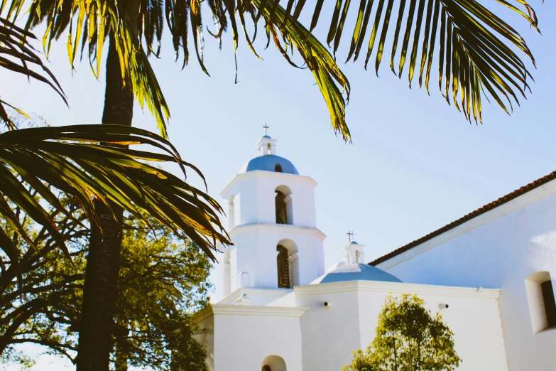 an ornate building with a blue dome and palm trees