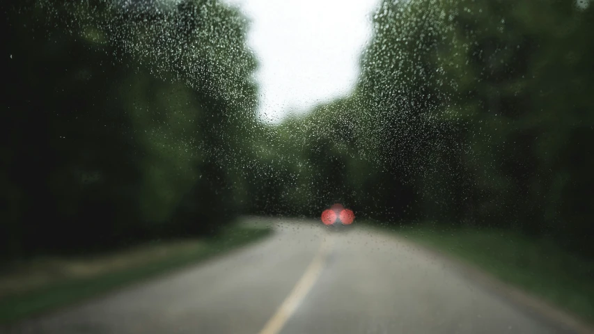 the back of an open car door shows trees and street lights