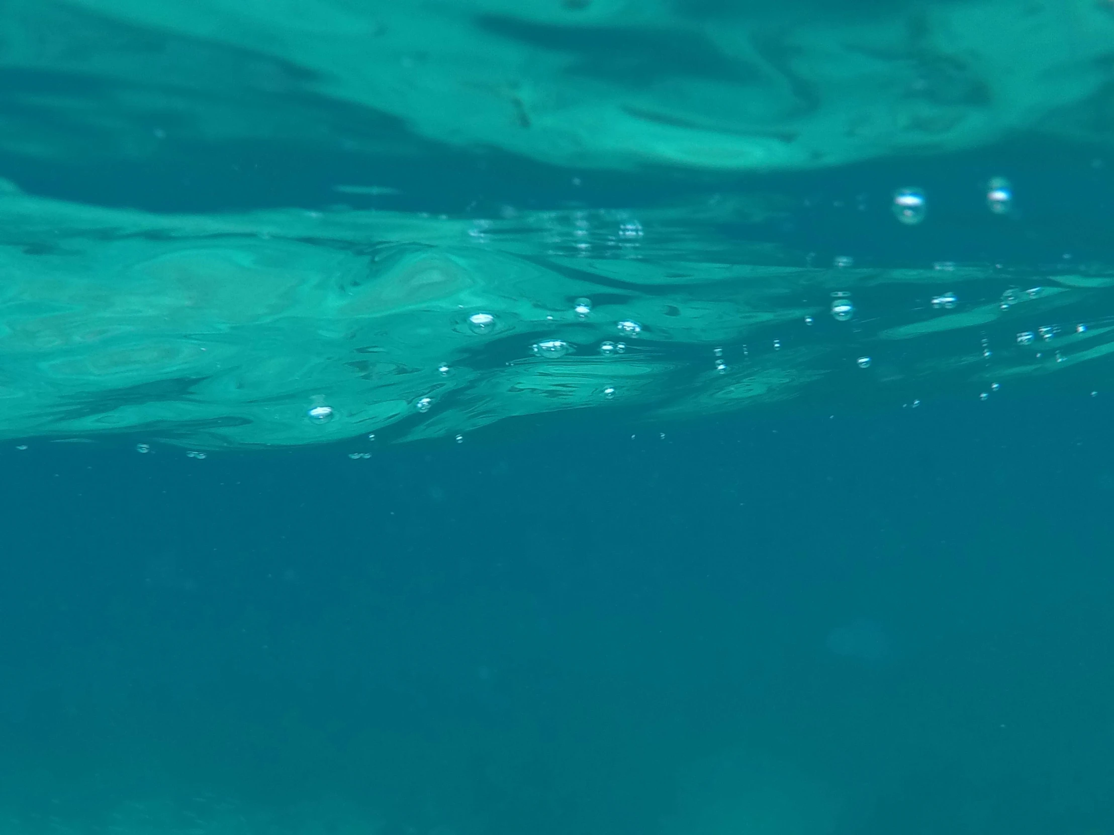 two yellow ducks swimming in the ocean near a rock