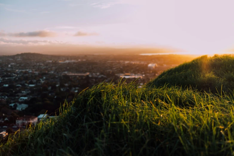 the view from top of a grassy hill overlooking a city