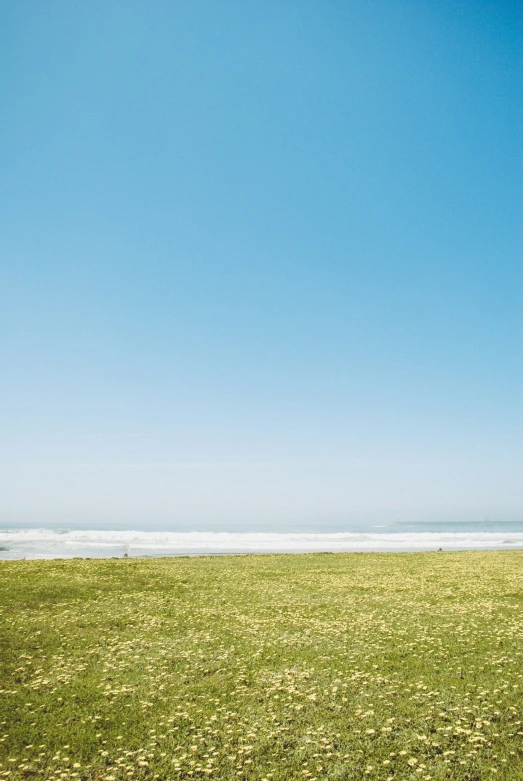 a bench sitting on top of a grass covered field