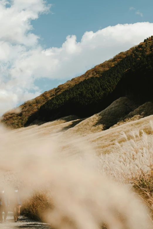 a dirt road with two people crossing the street