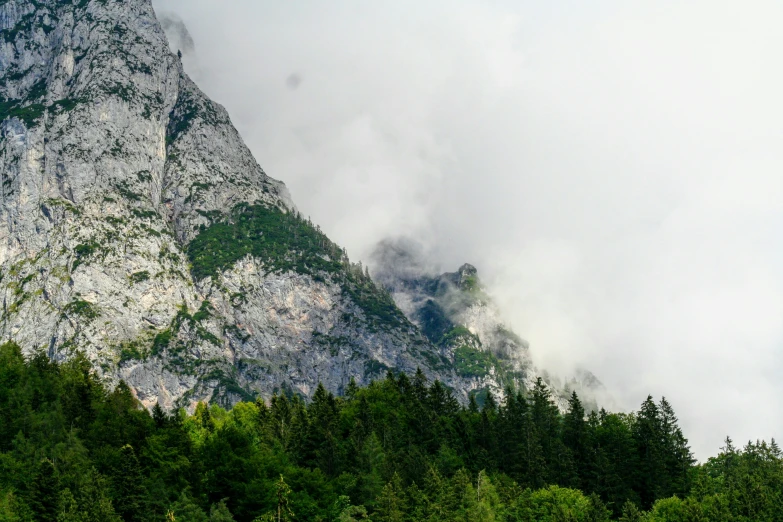 a view of some very tall mountains next to trees