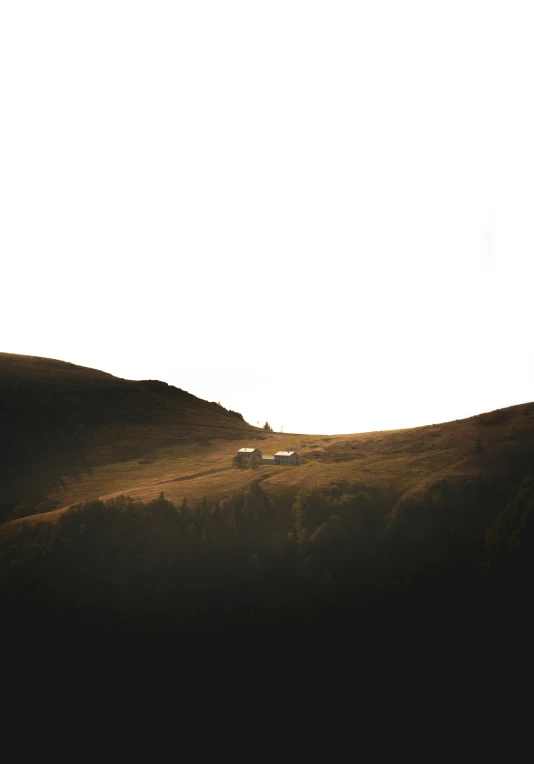 two trucks are seen driving down a grassy hill