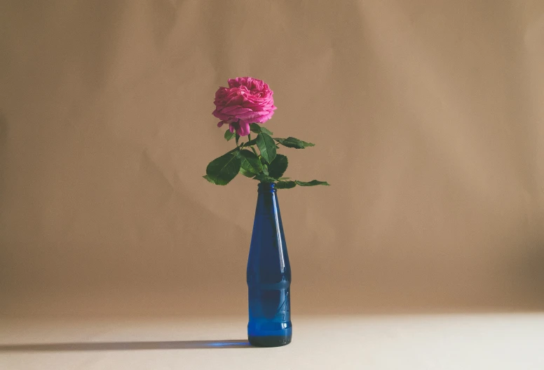 an image of a rose in a blue vase