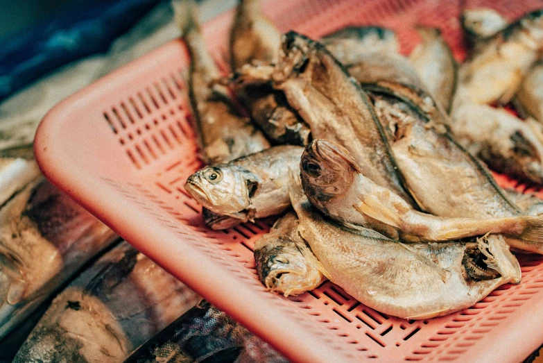 a pink tray holding some fish that have been cut into smaller pieces