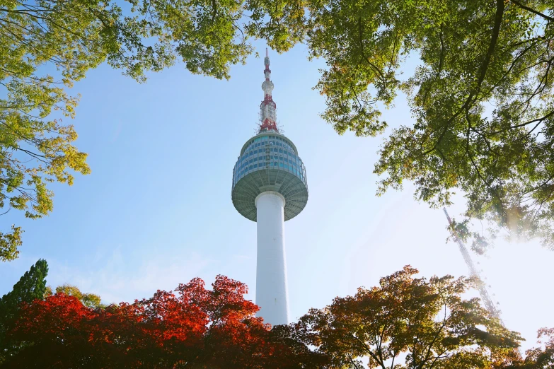 the television tower is in a park on a sunny day