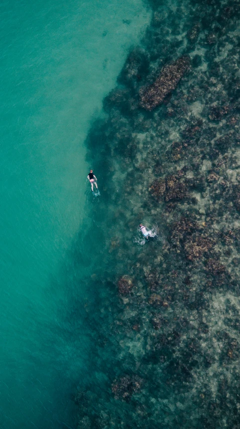 an aerial po of people in water with kayaks