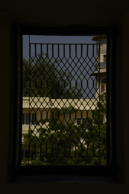 view from inside window of residential building of trees