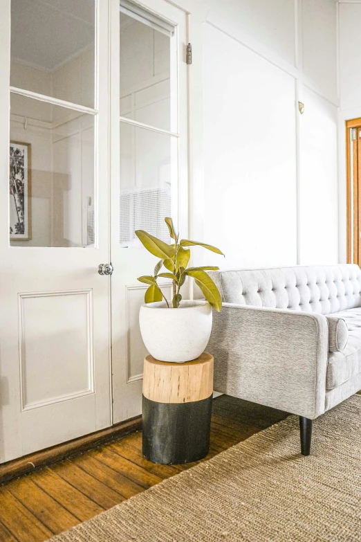 a living room with wood floors and white walls