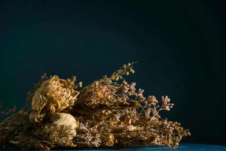 various plant life on the surface of a table