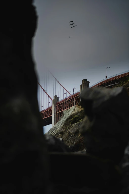 a bird is flying over a bridge by some rocks