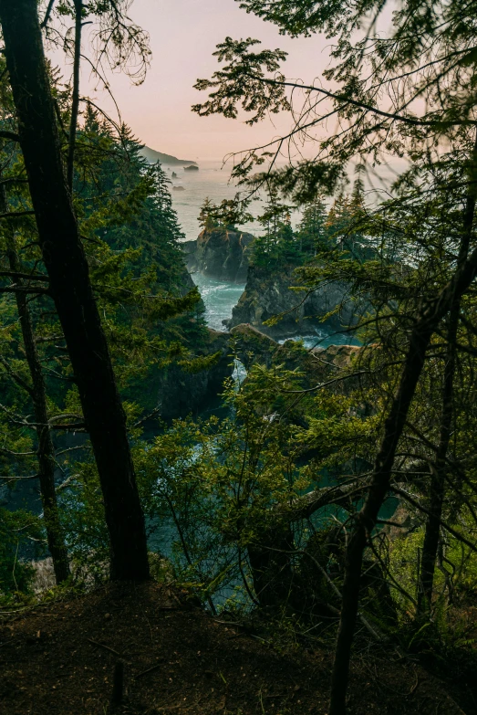 an aerial view of a river and trees