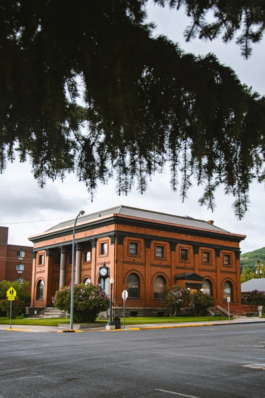 an old building with a large tree over its door