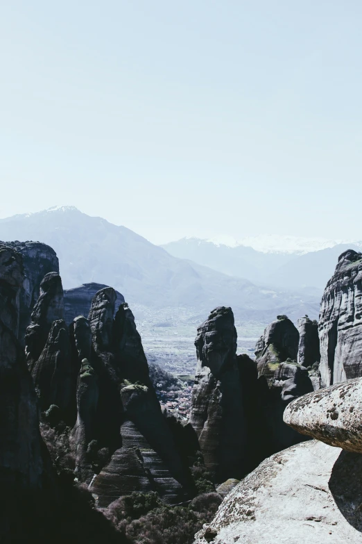 a group of animals that are sitting on a mountain