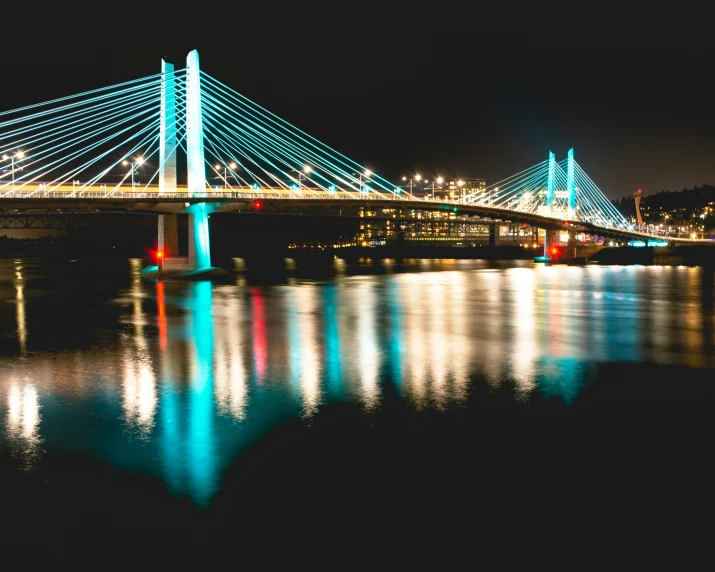 the brightly lit cables of this bridge reflect in the water