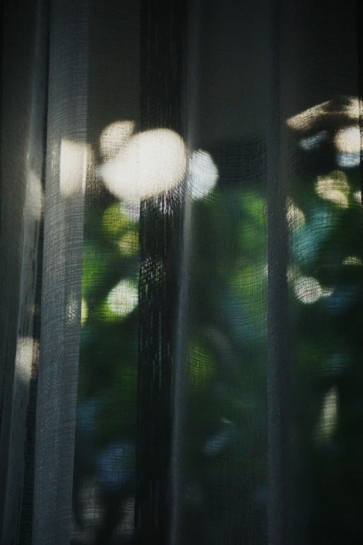 some flowers and lights from outside a glass