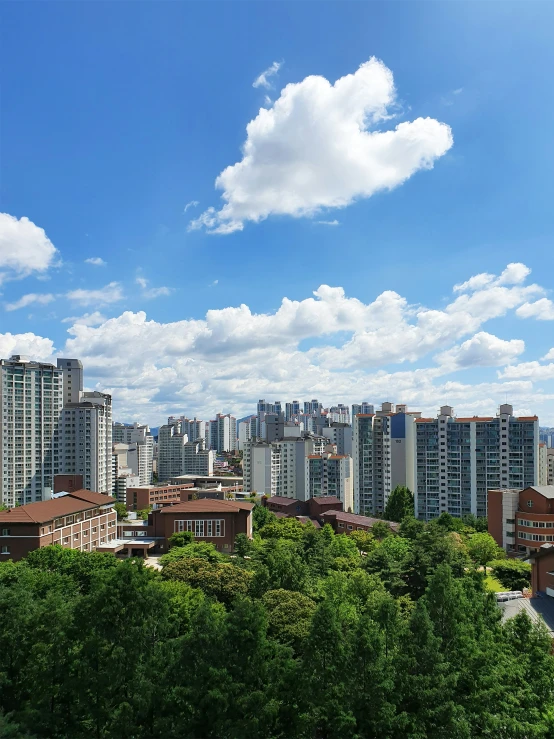 the city skyline from a high rise in the middle of a wooded area