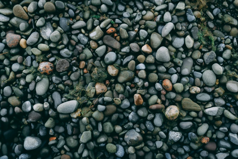 pebbles, moss and pebbles are all different colors