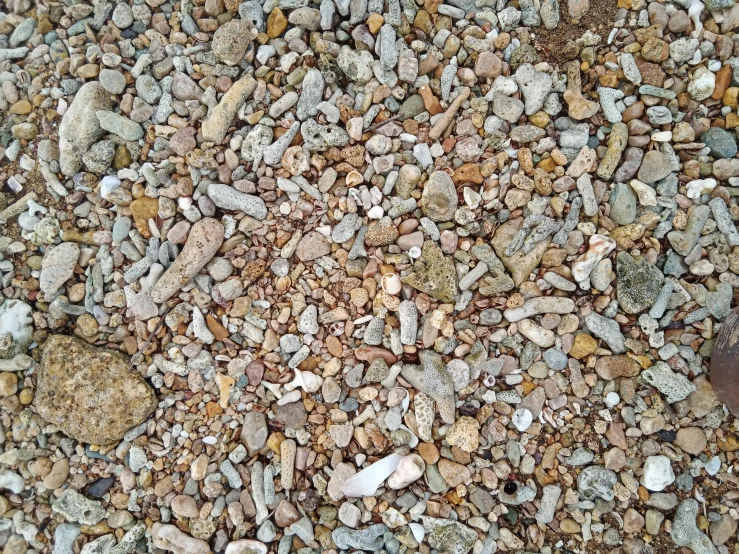 there are rocks and gravel all over the surface