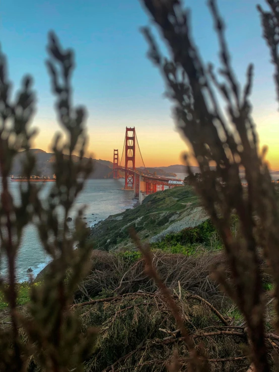 a view over the golden gate bridge from the coast