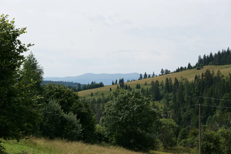 a green field and mountains in the distance