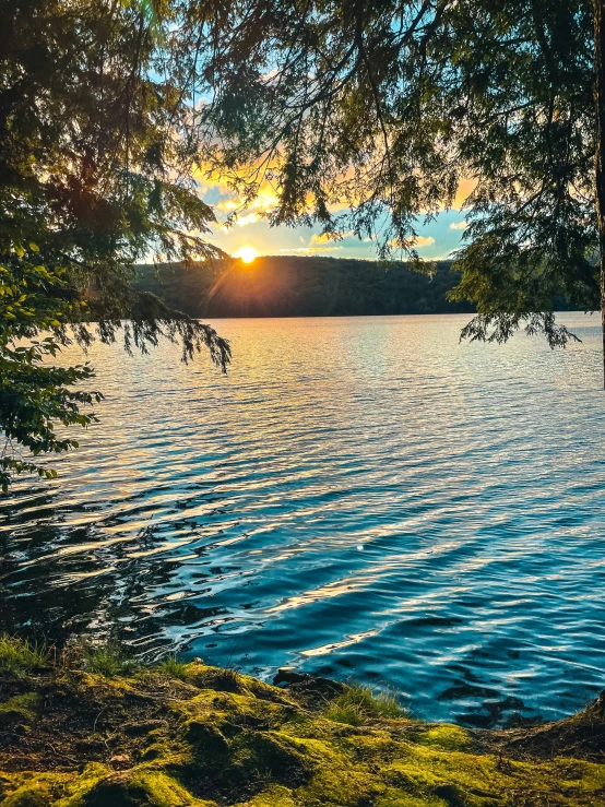 the sun sets on a lake, surrounded by grass and trees