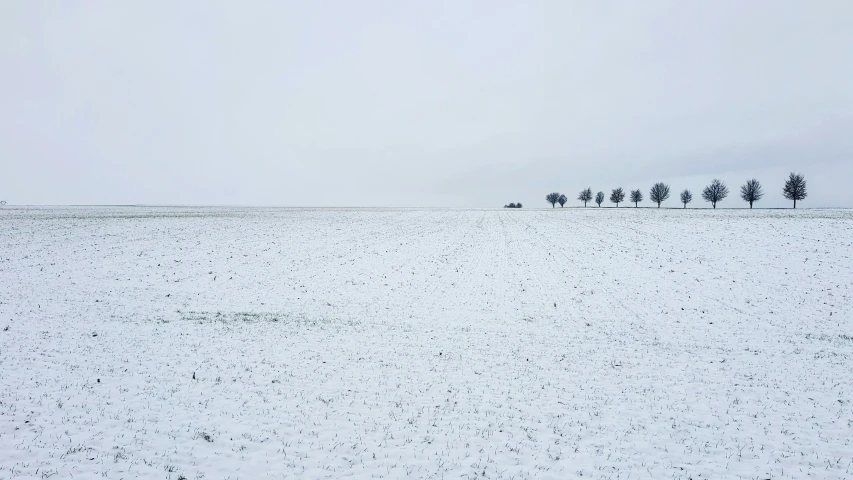 a large snowy field has some trees in the middle