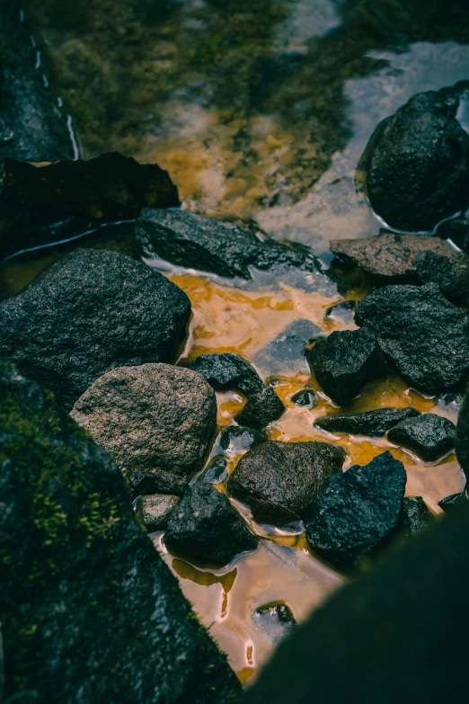 some rocks and water near some plants