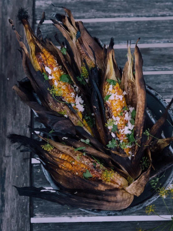some very colorful dried corn on the cob