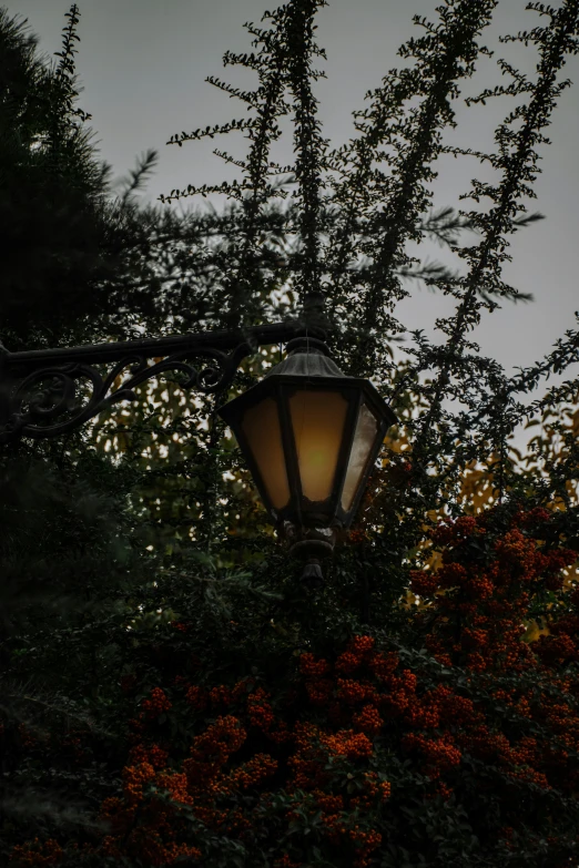 a street light with some flowers in the background