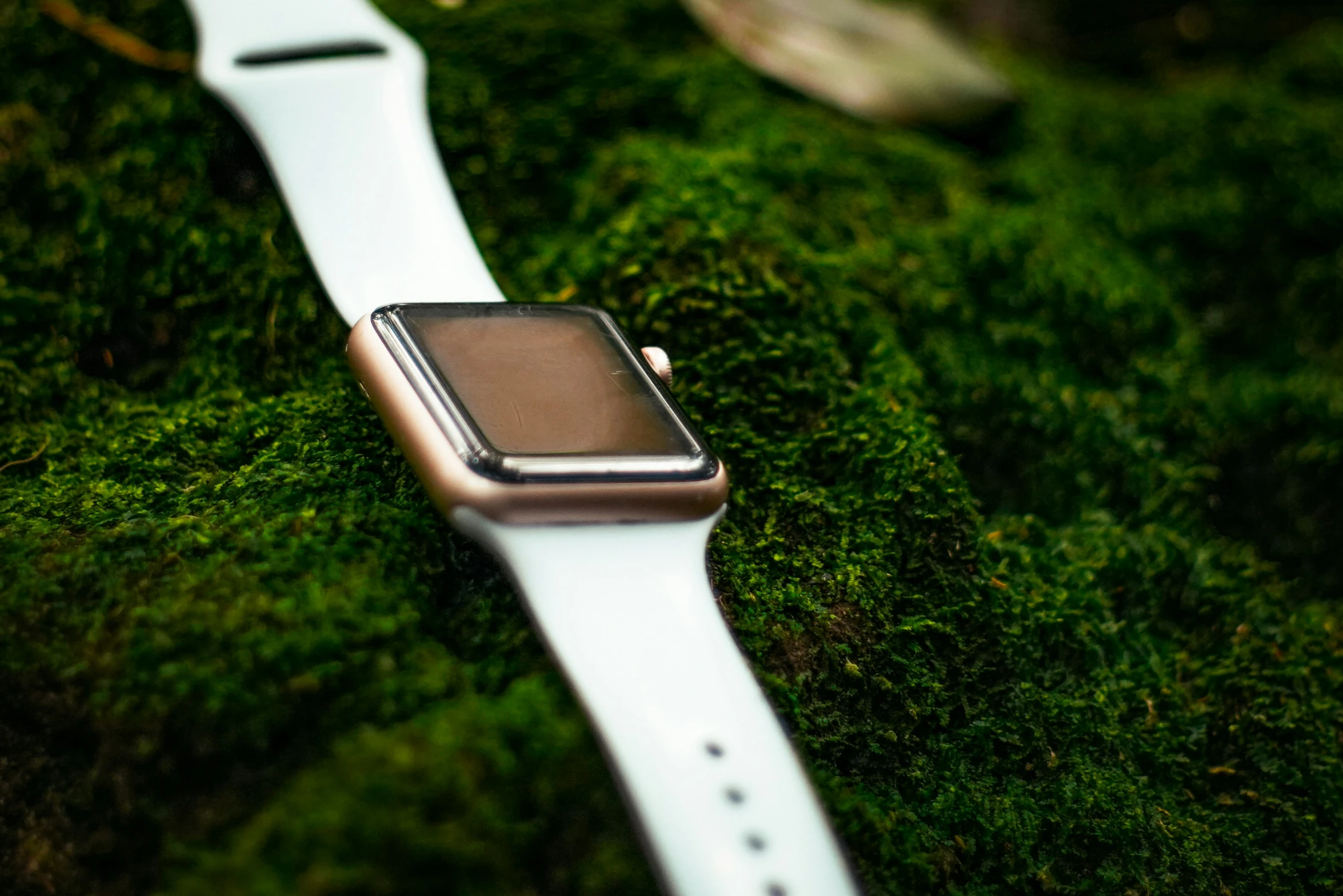 a apple watch sitting in grass covered ground