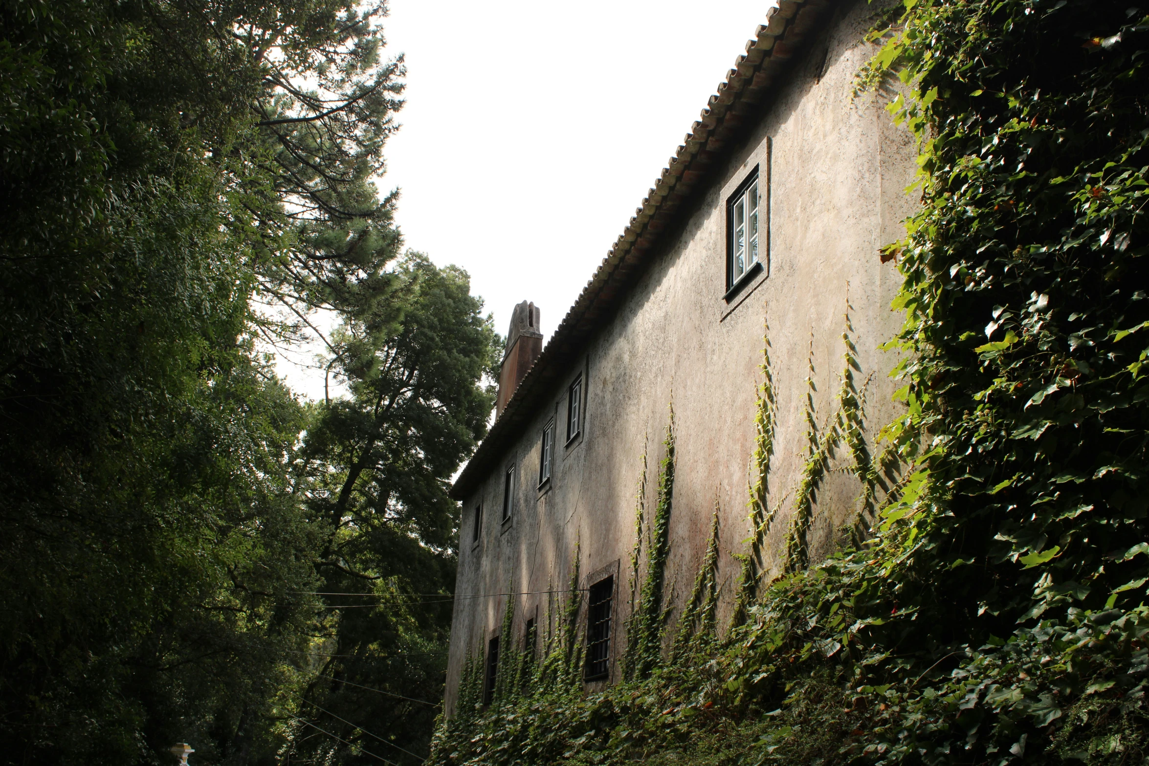 an old building with green ivy growing on it