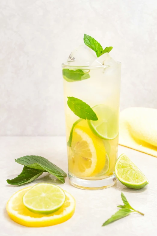 a s glass with ice and lemons, mint, lemon and lime