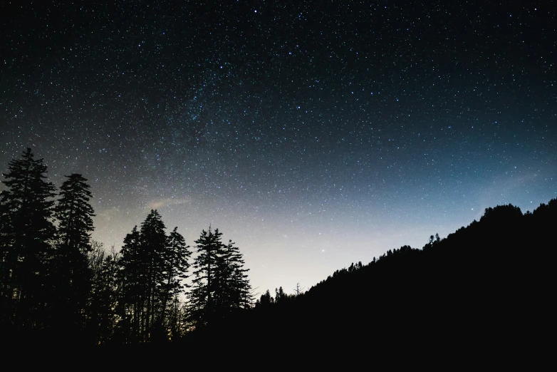 the stars can be seen in the night sky over the forest