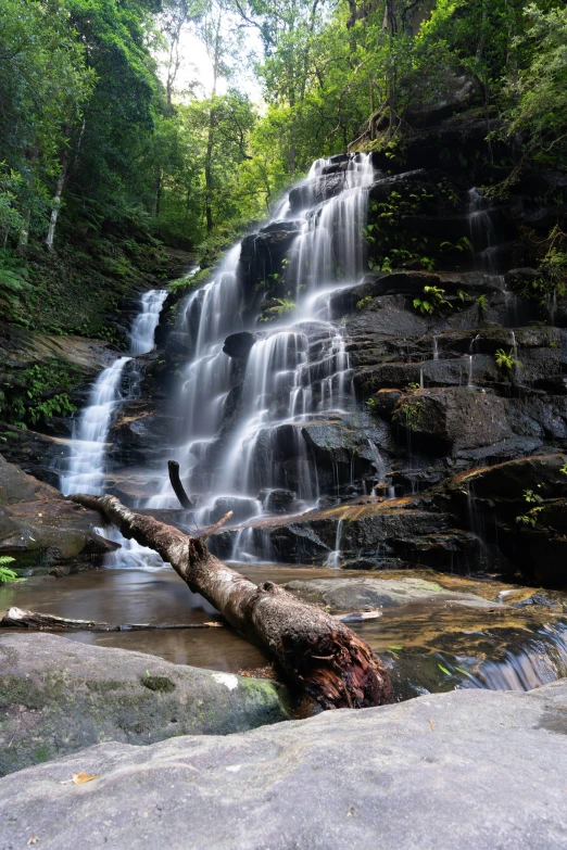 a large tree lying on a rocky area in front of a waterfall