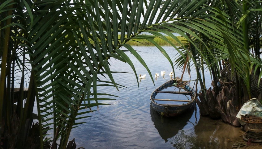 a boat sitting in a lake between two palm trees