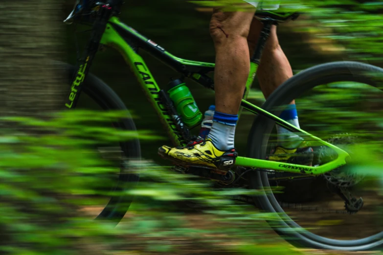 a cyclist riding his bike through the trees