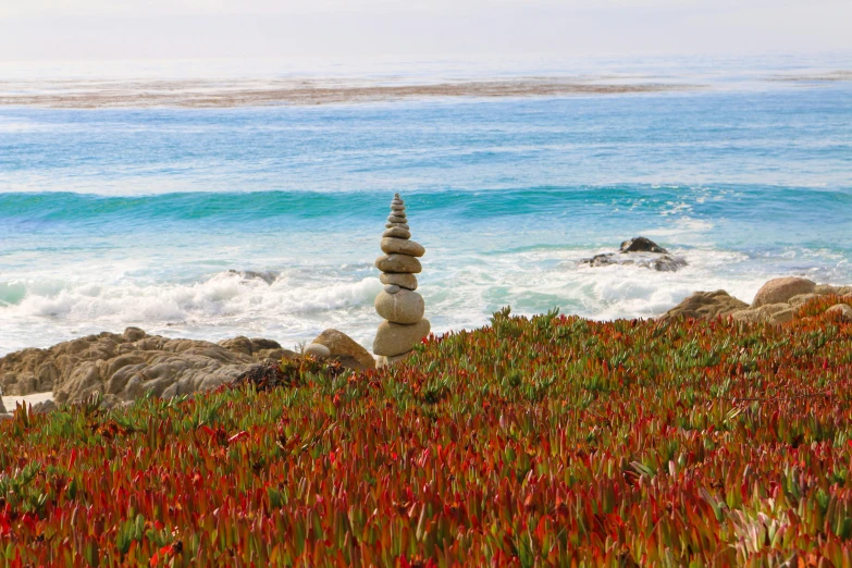 some rocks on a hill by the water