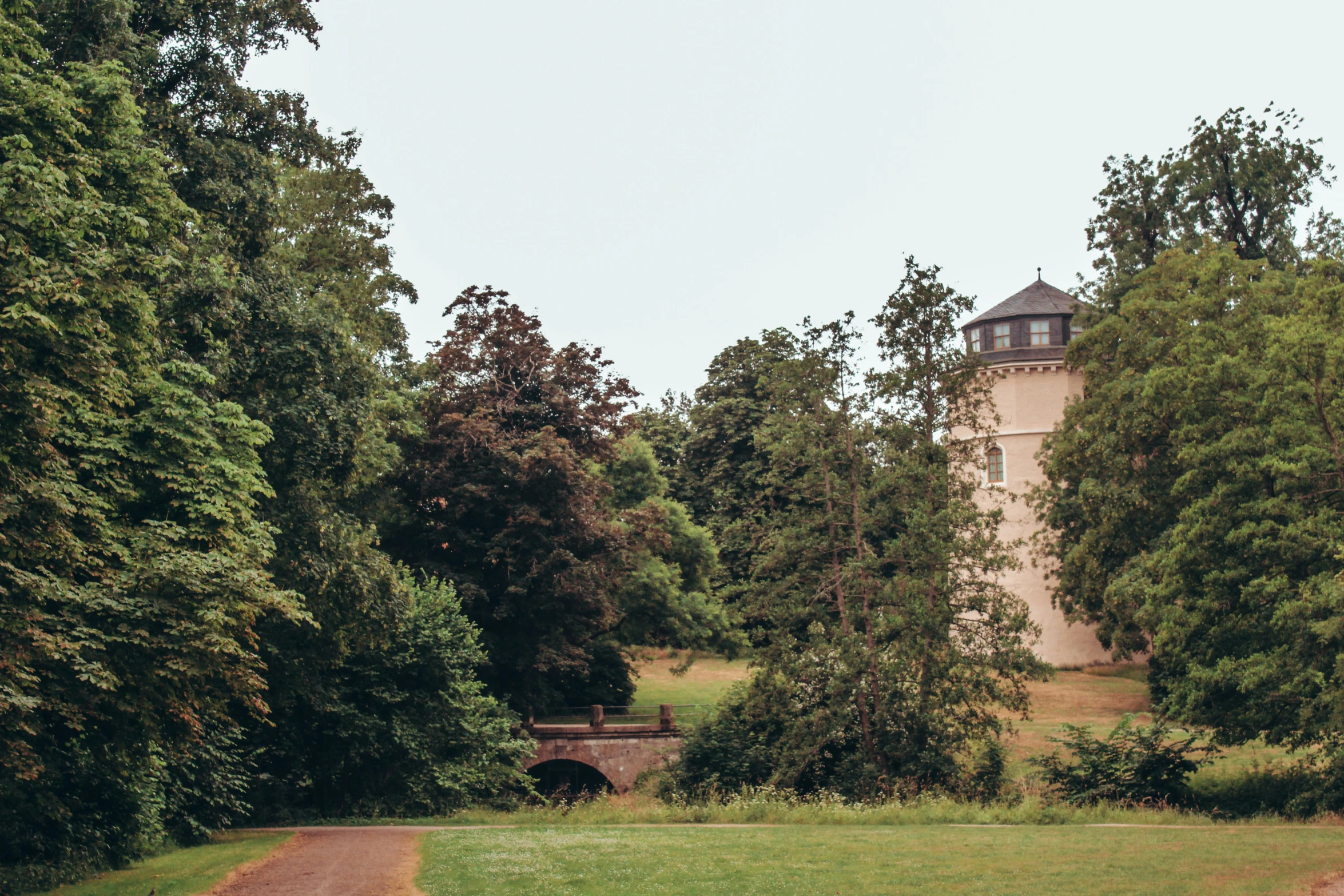 a forest setting with trees and a walkway that goes to an observation tower