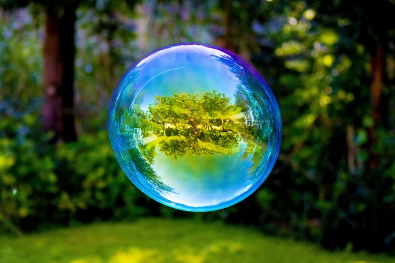 an image of the tree seen from a bubble