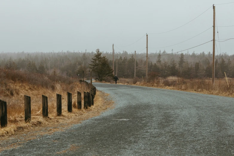 a dirt road with a line of poles along one side