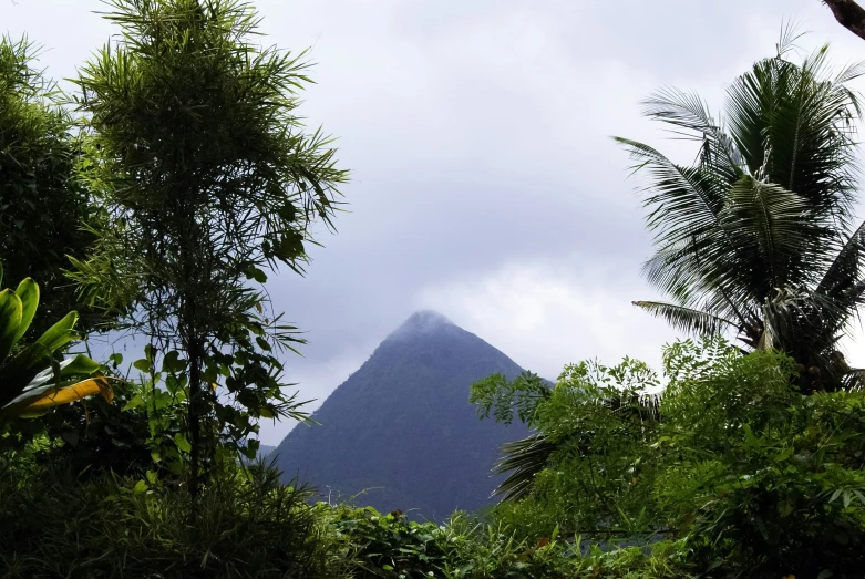 a very tall mountain towering above a forest