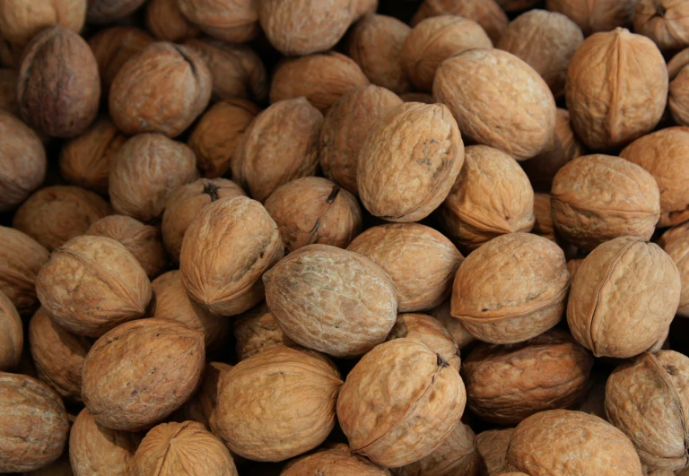 a large pile of walnuts is lying flat