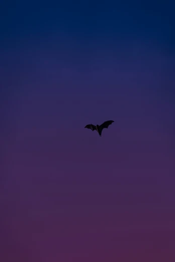 there is a large bat flying in the sky