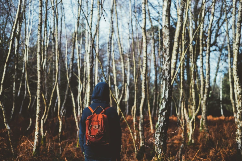 a man is standing in the woods surrounded by trees