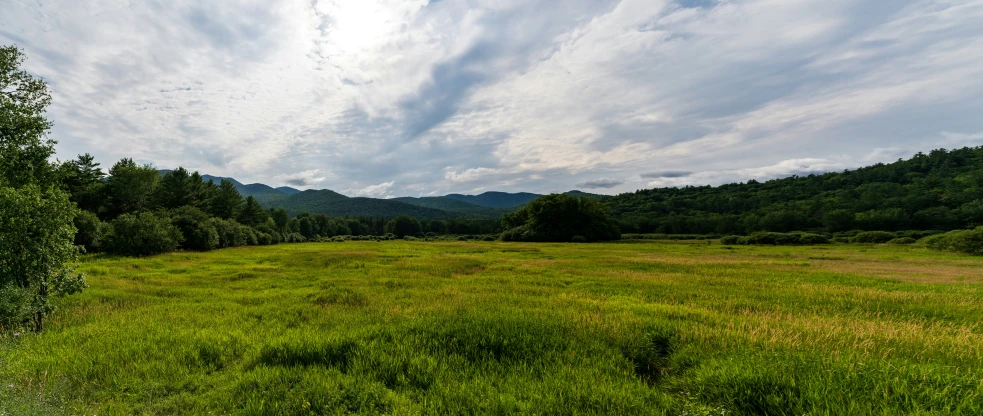 the sky is full of wispy clouds over a field