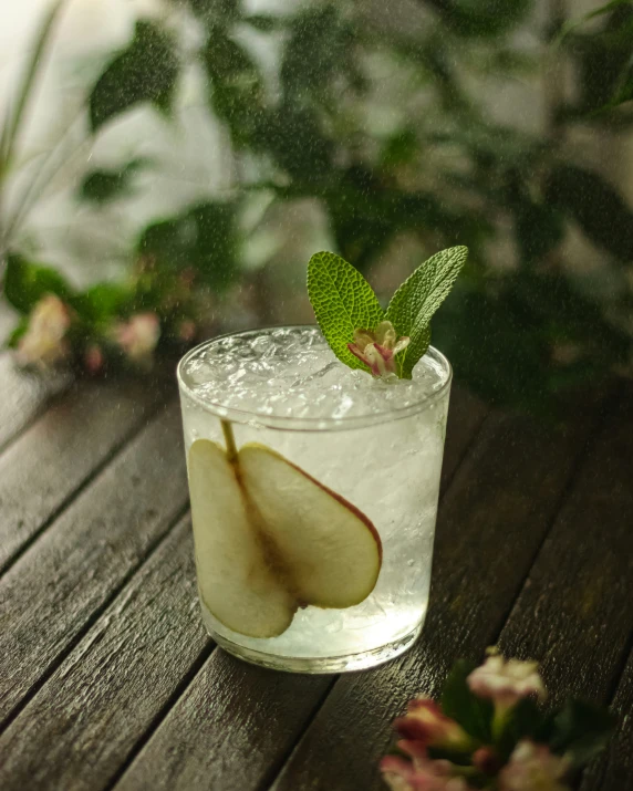 apple drink with leaves in the back ground