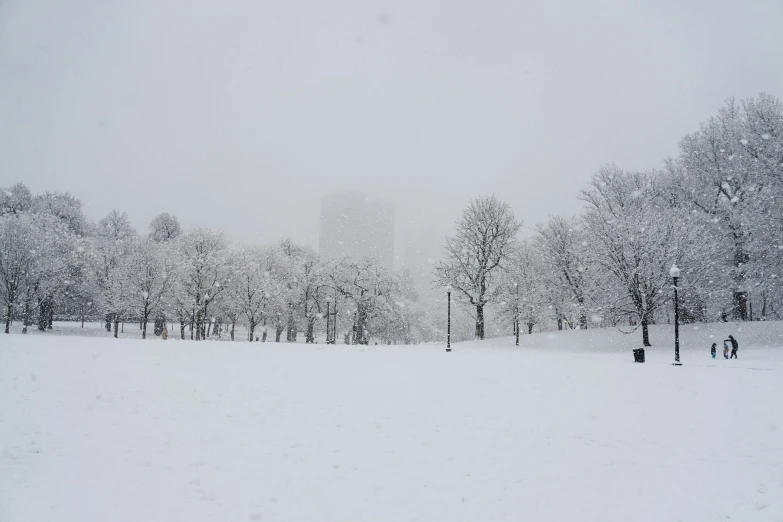 the snow has turned bright and the trees are all covered with ice